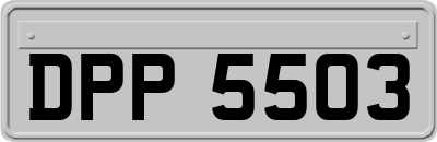 DPP5503