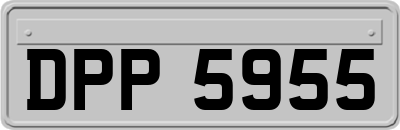 DPP5955