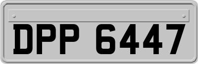 DPP6447