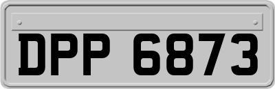 DPP6873