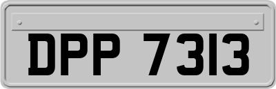 DPP7313