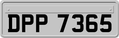 DPP7365