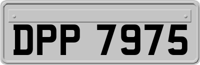 DPP7975