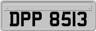 DPP8513