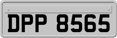 DPP8565