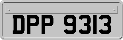 DPP9313