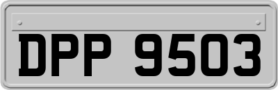 DPP9503
