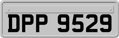 DPP9529