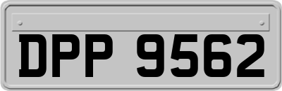 DPP9562