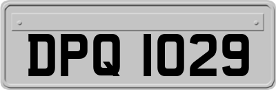 DPQ1029
