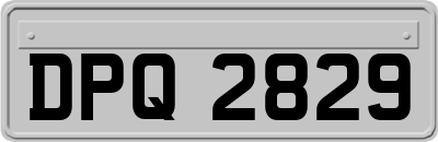 DPQ2829