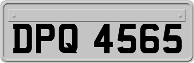 DPQ4565