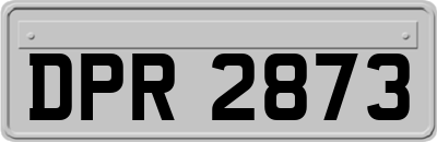 DPR2873