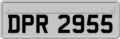 DPR2955