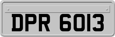 DPR6013