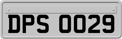 DPS0029