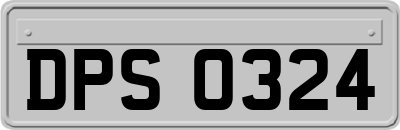 DPS0324