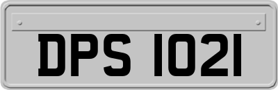 DPS1021