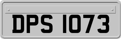 DPS1073