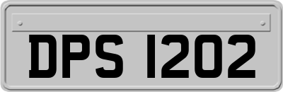 DPS1202
