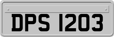DPS1203