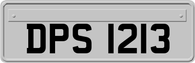 DPS1213