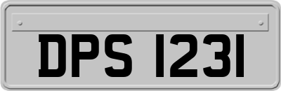 DPS1231