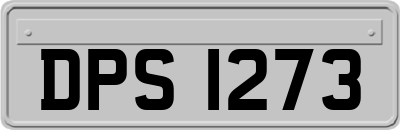 DPS1273