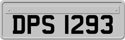 DPS1293
