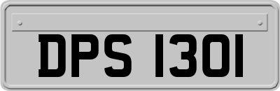 DPS1301