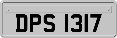 DPS1317