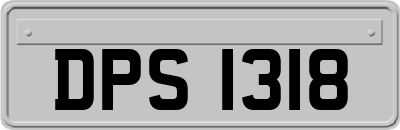 DPS1318