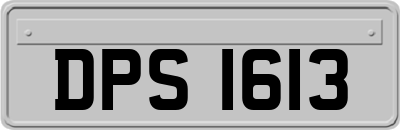 DPS1613