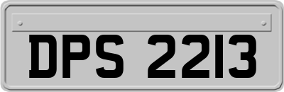 DPS2213
