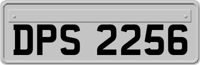 DPS2256