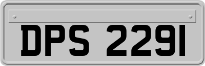 DPS2291
