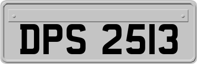 DPS2513