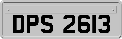 DPS2613