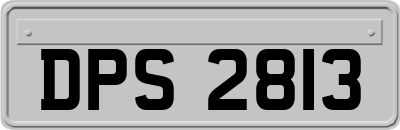 DPS2813