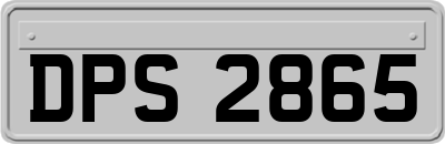 DPS2865