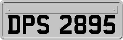 DPS2895