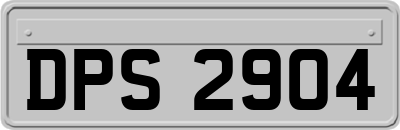 DPS2904