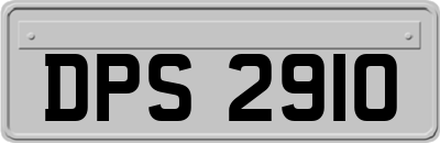 DPS2910