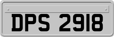 DPS2918