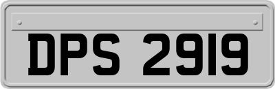 DPS2919