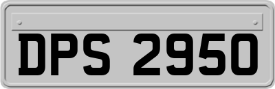 DPS2950