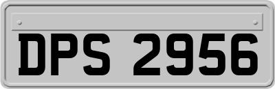 DPS2956