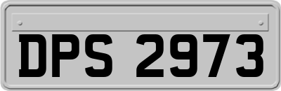 DPS2973