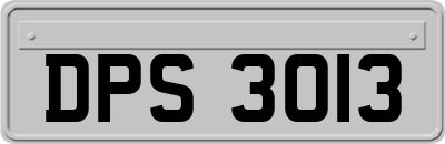 DPS3013