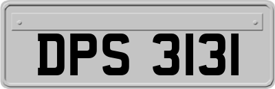 DPS3131